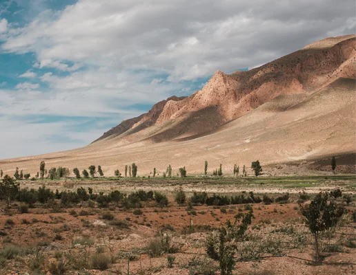 Incentivos fiscales en la frontera norte para fortalecer la industria manufacturera
